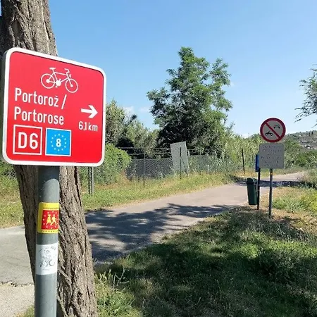 Apartma Na Vasi
